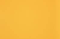 Toile-jaune